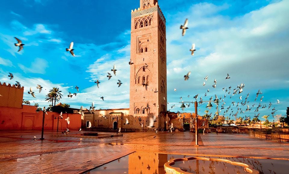 Day Trips from Marrakech